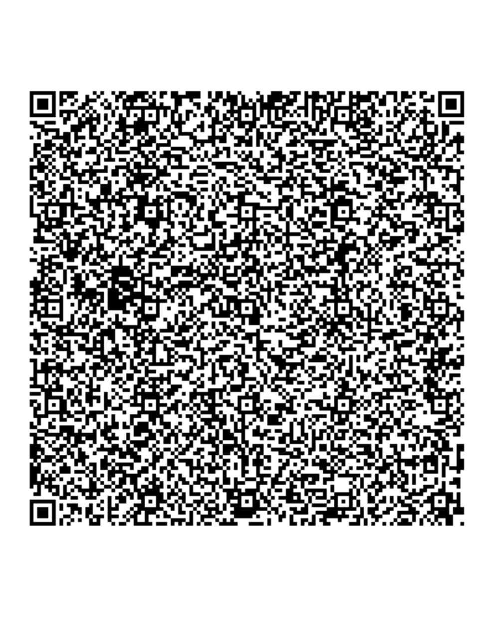 QR Code Germany